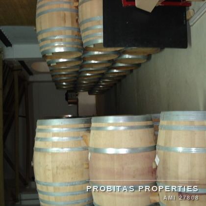 Quinta do Carvalho &mdash; Fotografia 12 de 15